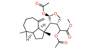 Polyrhaphin B